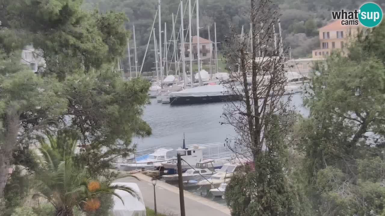 Webcam Hvar Vrboska marina | Dalmazia