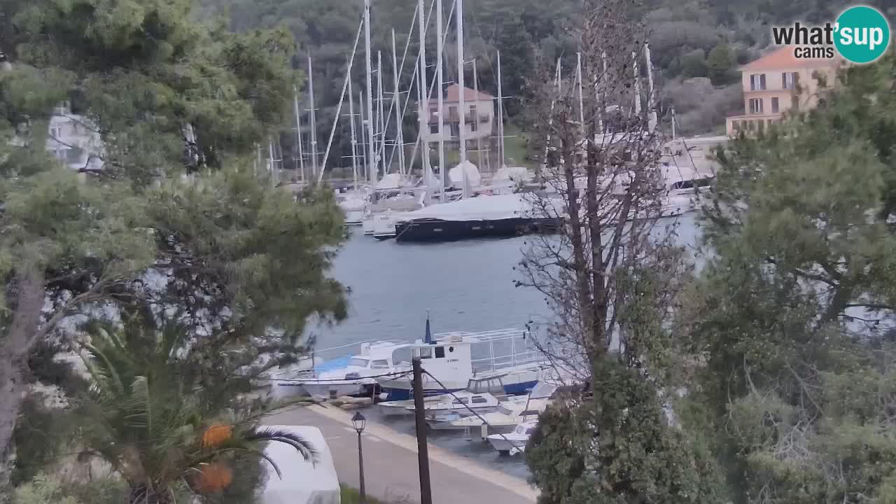 Livecam Hvar Vrboska marina | Île de Hvar | Dalmatia