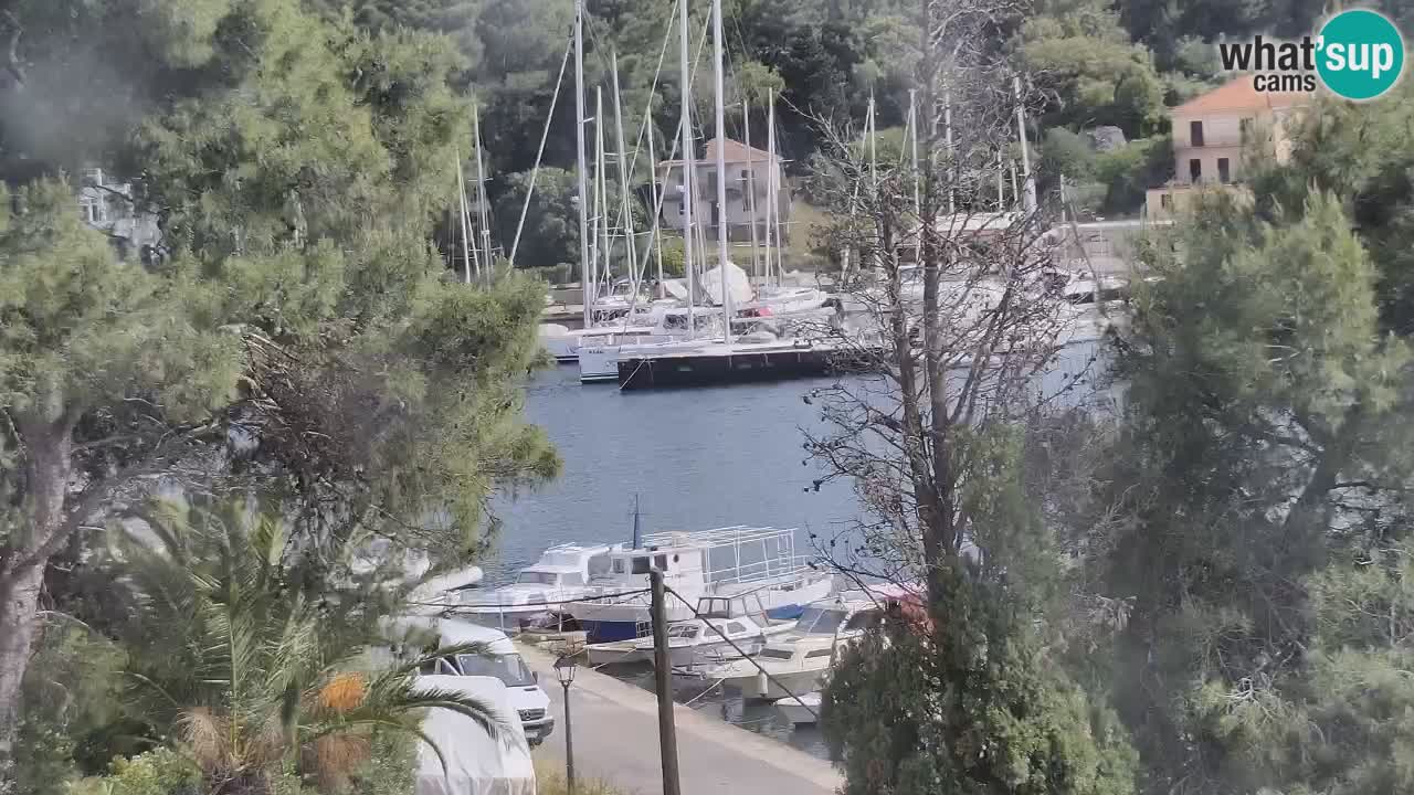 Livecam Hvar Vrboska marina | Île de Hvar | Dalmatia