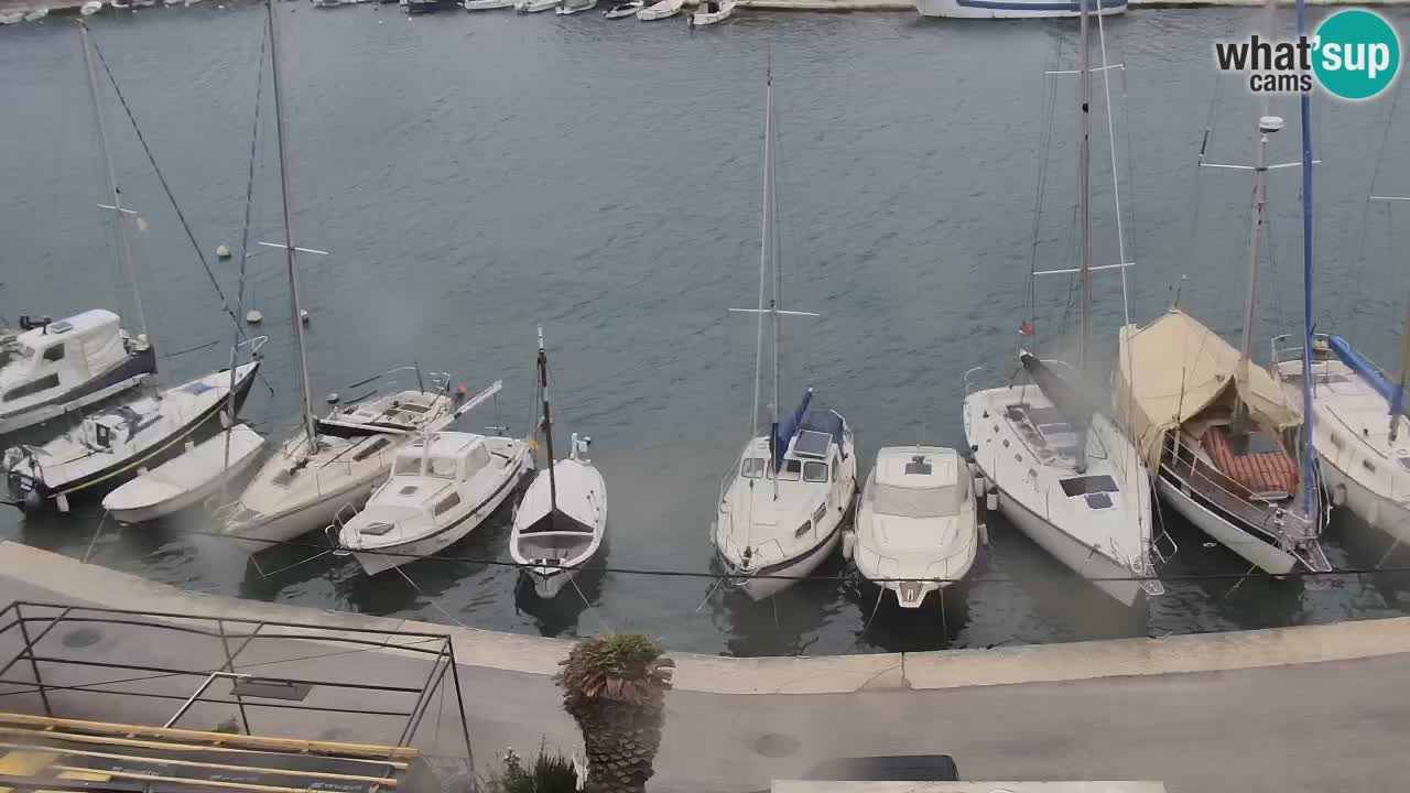 Livecam Hvar Vrboska marina | Île de Hvar | Dalmatia