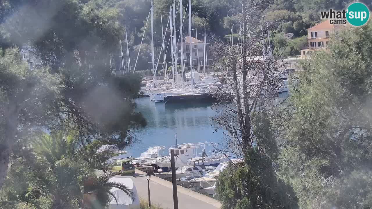 Livecam Vrboska marina | Hvar island | Dalmatia