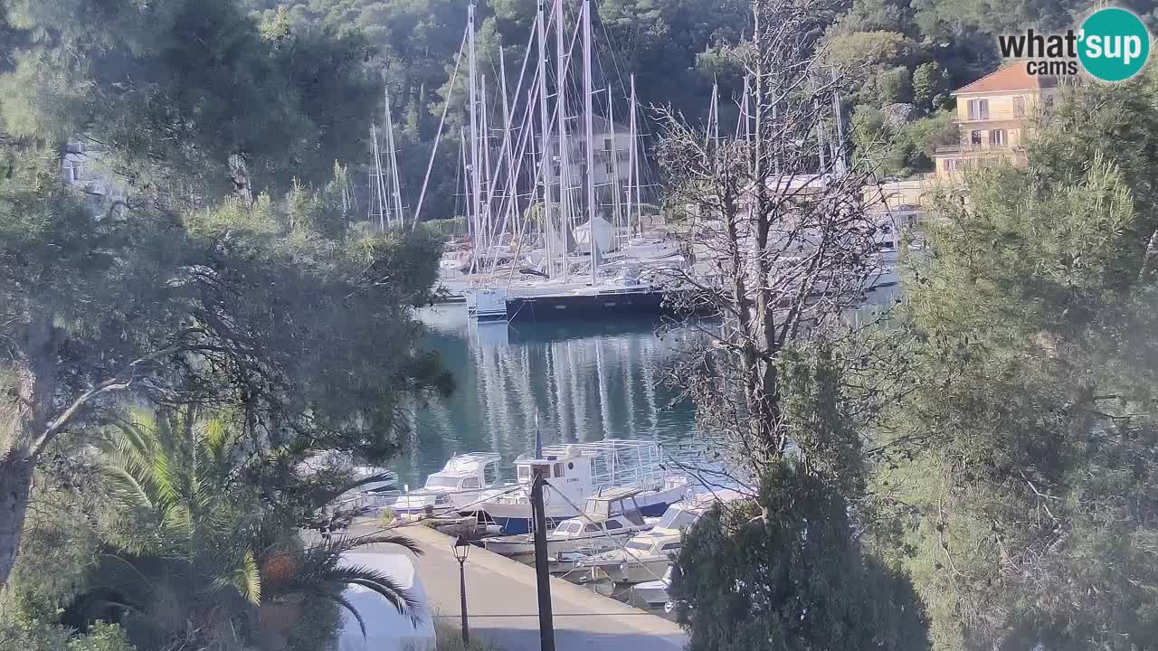 Webcam Vrboska marina | Hvar Insel | Dalmatien
