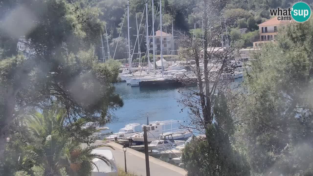 Web kamera Hvar Vrboska marina | otok Hvar | Dalmacija