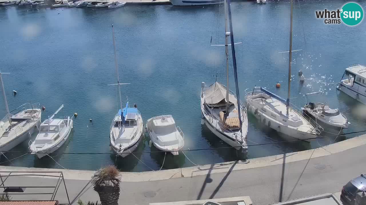 Livecam Vrboska marina | Hvar island | Dalmatia