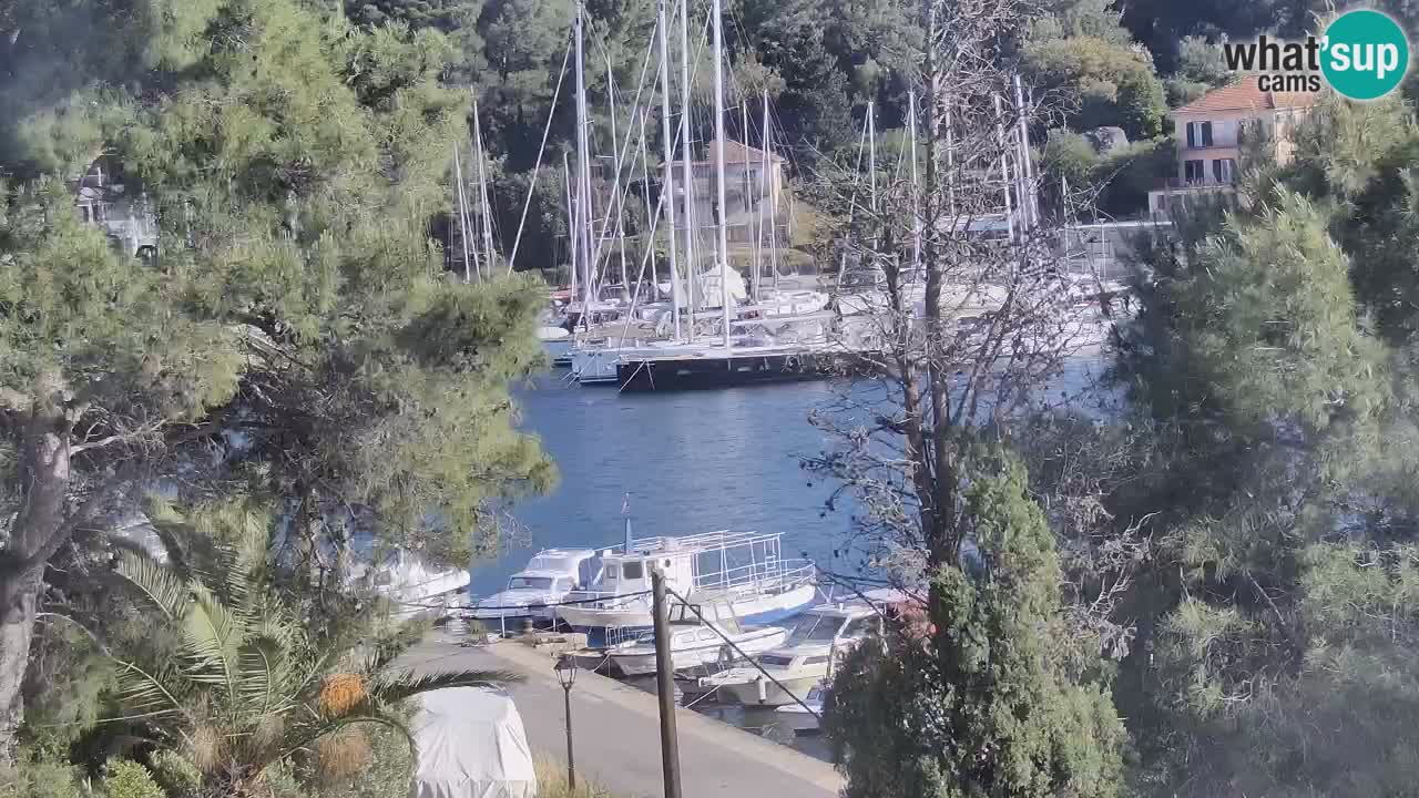 Webcam Hvar Vrboska marina | Dalmazia