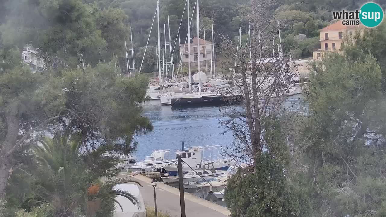 Web kamera Hvar Vrboska marina | otok Hvar | Dalmacija