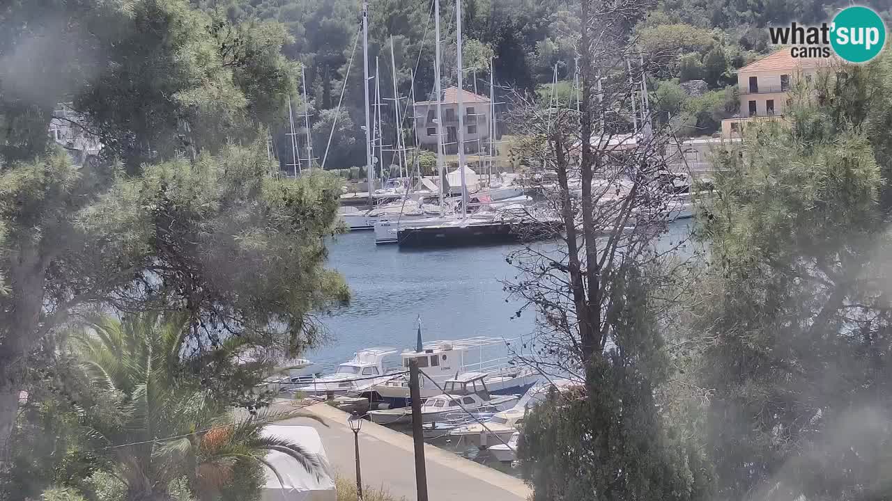 Livecam Hvar Vrboska marina | Île de Hvar | Dalmatia