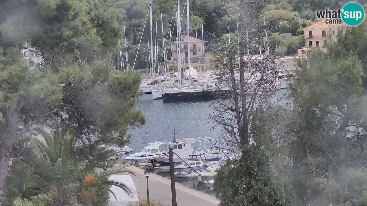 Web kamera Hvar Vrboska marina | otok Hvar | Dalmacija
