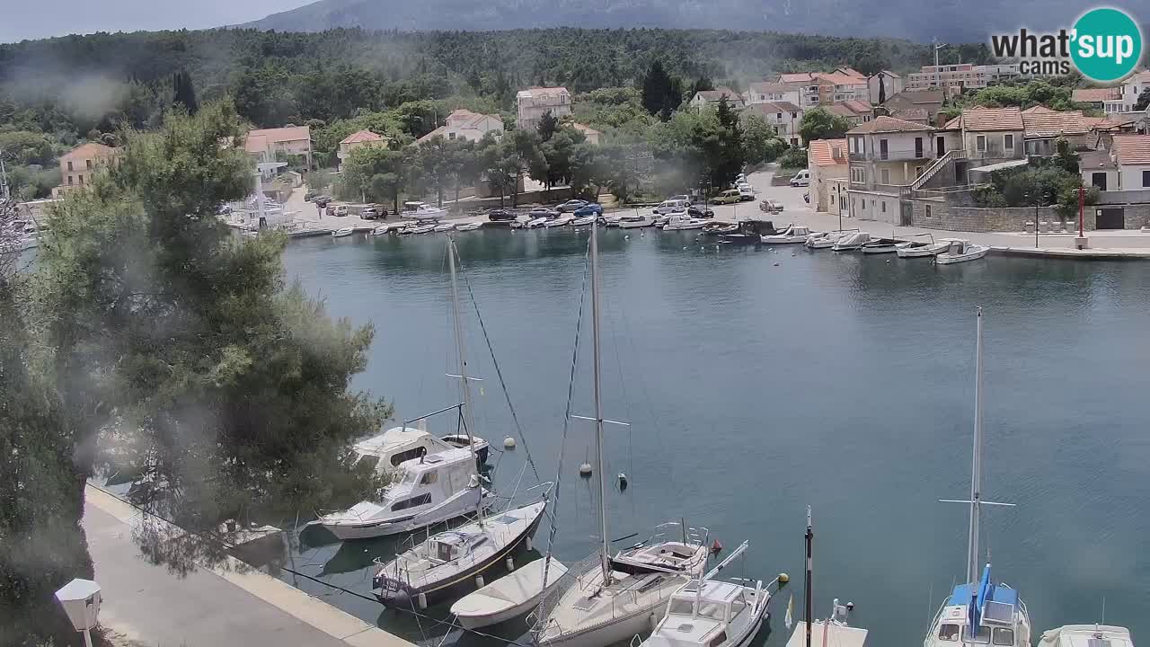 Livecam Vrboska marina | Hvar island | Dalmatia