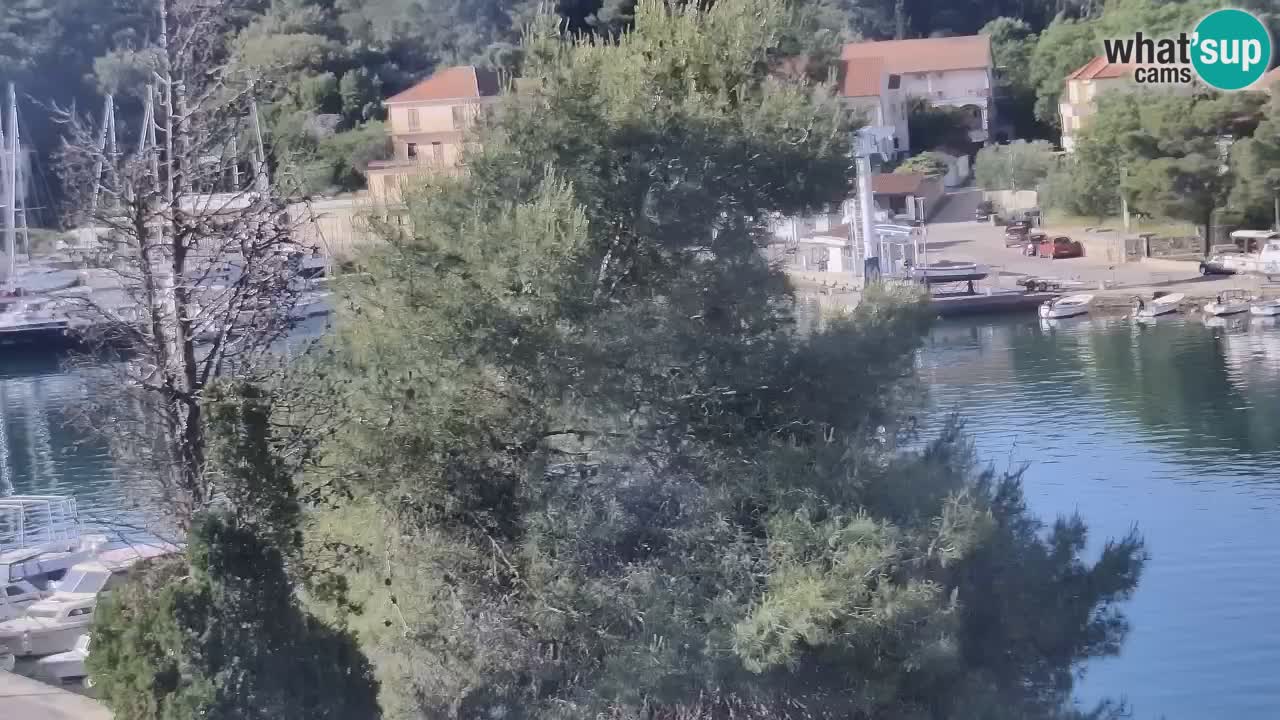 Webcam Vrboska marina | Hvar Insel | Dalmatien