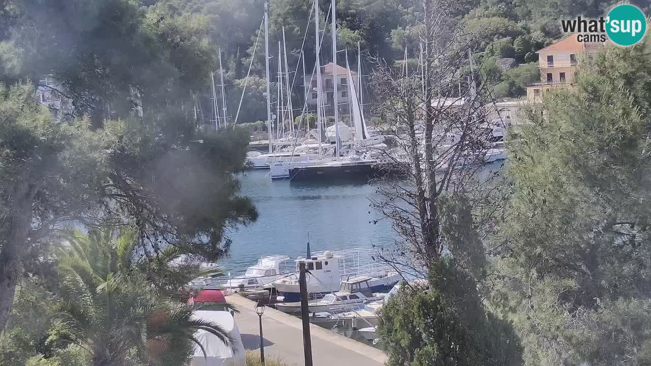 Kamera Hvar Vrboska marina | | Dalmacija