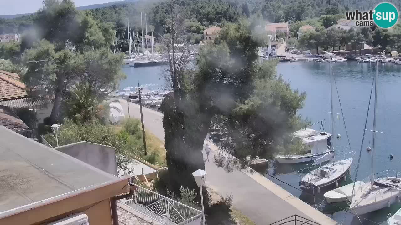 Livecam Hvar Vrboska marina | Île de Hvar | Dalmatia