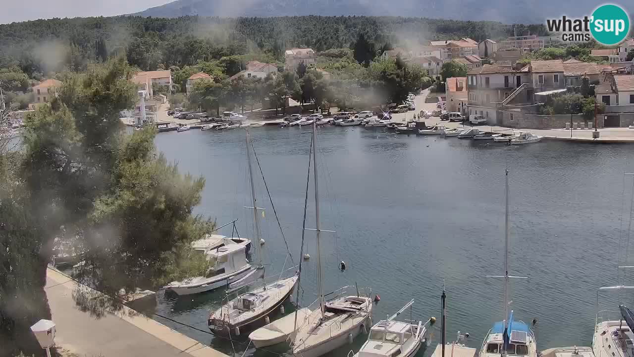Web kamera Hvar Vrboska marina | otok Hvar | Dalmacija