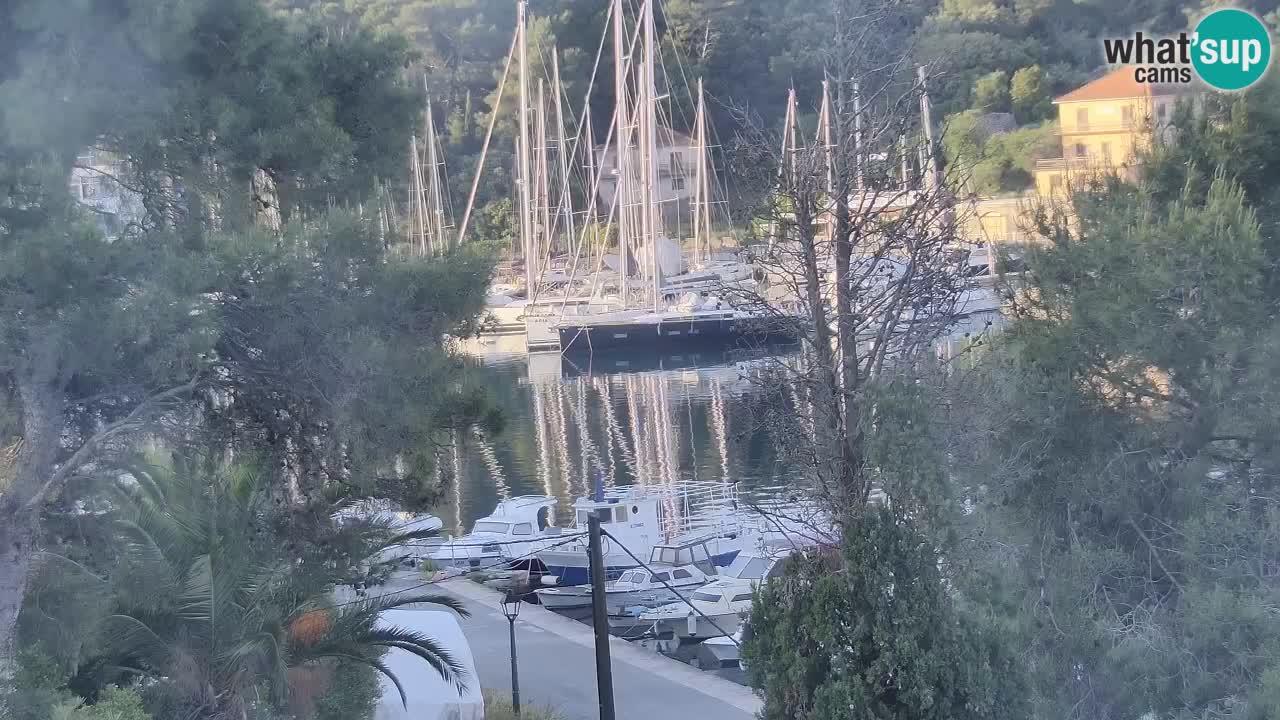 Webcam Hvar Vrboska marina | Dalmazia