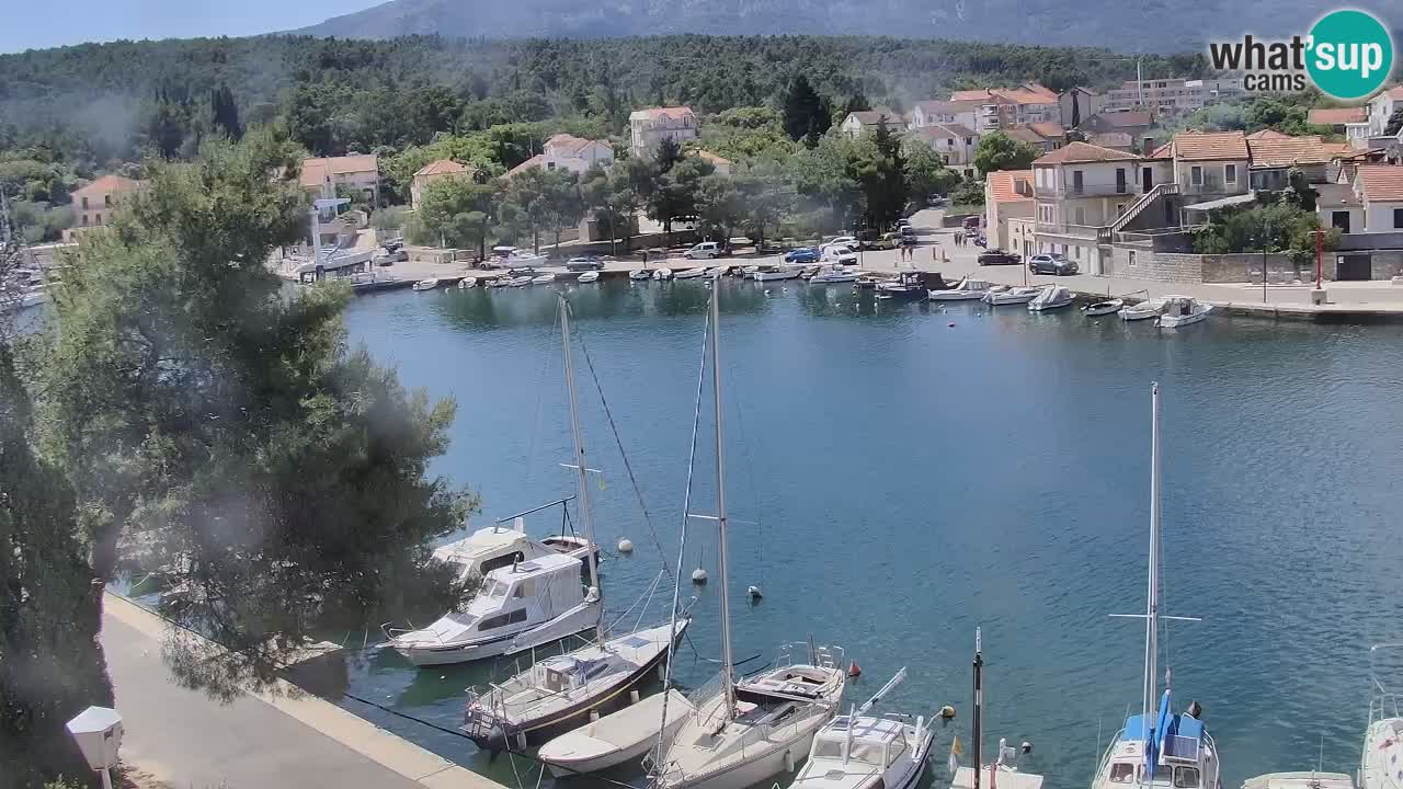 Livecam Hvar Vrboska marina | Île de Hvar | Dalmatia