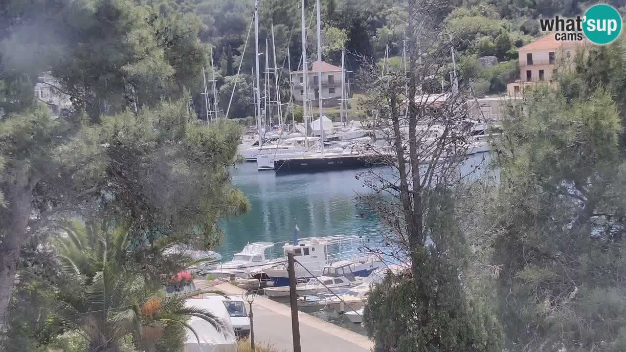 Livecam Hvar Vrboska marina | Île de Hvar | Dalmatia