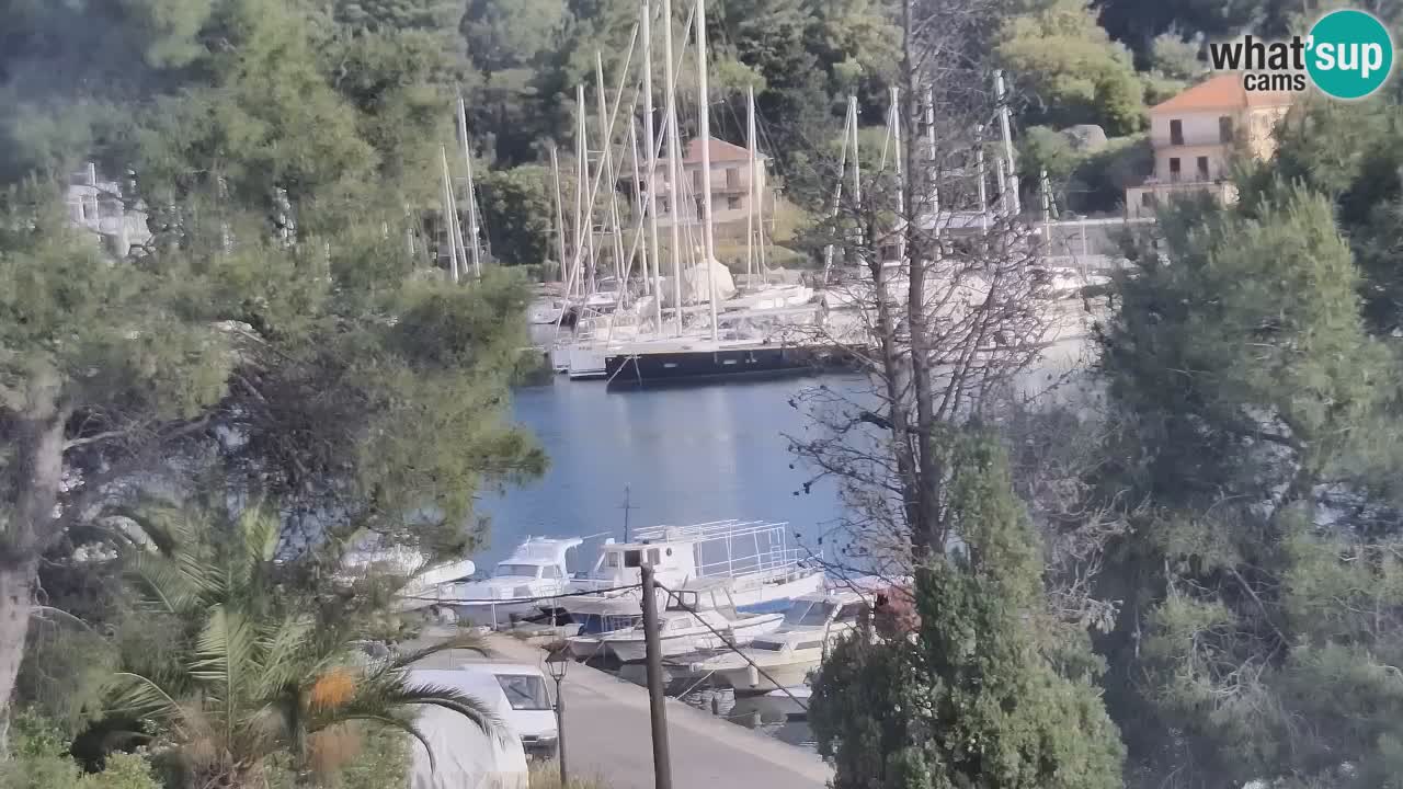 Webcam Hvar Vrboska marina | Dalmazia