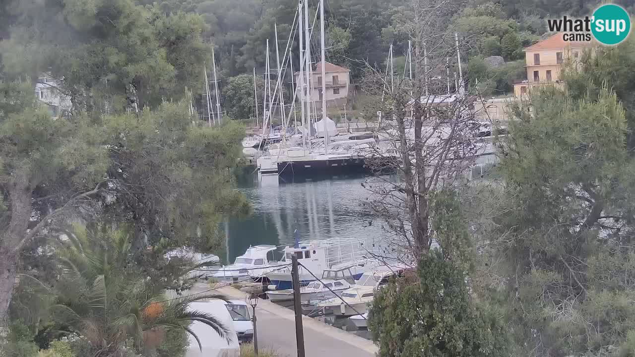 Camera Hvar Vrboska marina | isla de Hvar | Dalmacia
