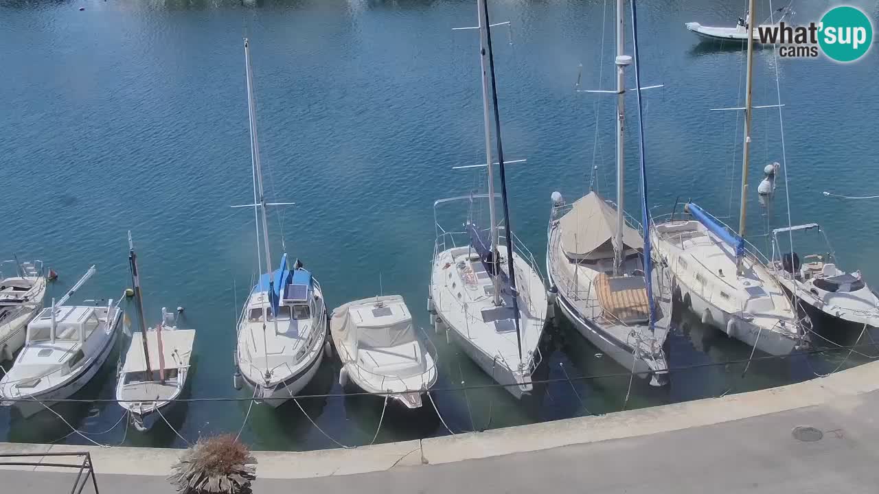Livecam Hvar Vrboska marina | Île de Hvar | Dalmatia