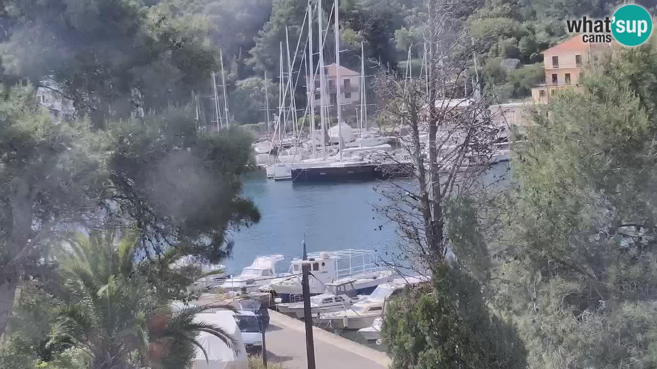 Web kamera Hvar Vrboska marina | otok Hvar | Dalmacija