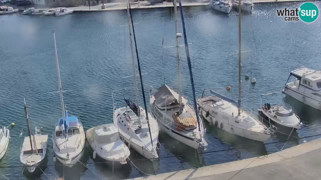 Camera Hvar Vrboska marina | isla de Hvar | Dalmacia