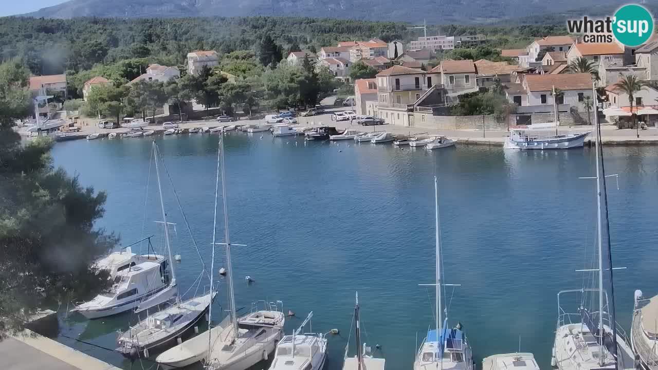 Kamera Hvar Vrboska marina | | Dalmacija