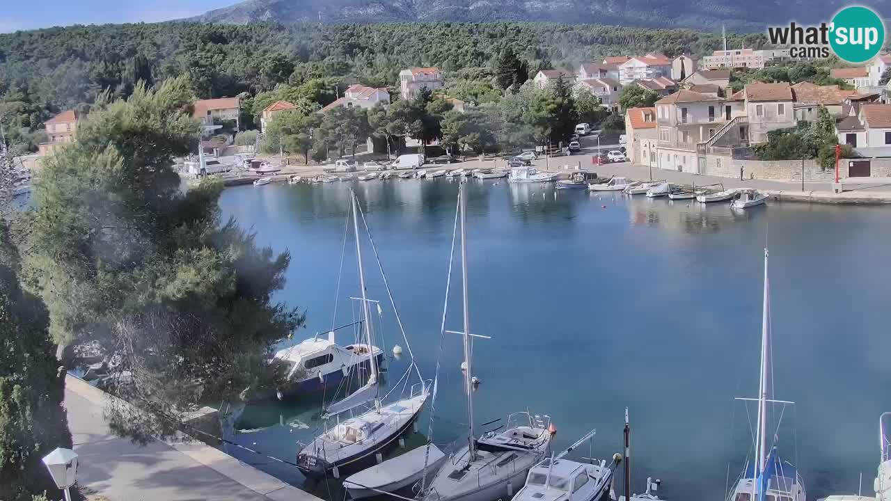 Livecam Vrboska marina | Hvar island | Dalmatia