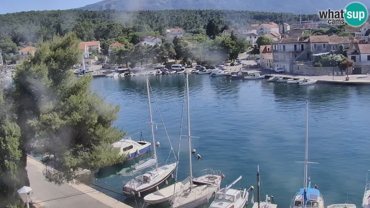 Livecam Vrboska marina | Hvar island | Dalmatia