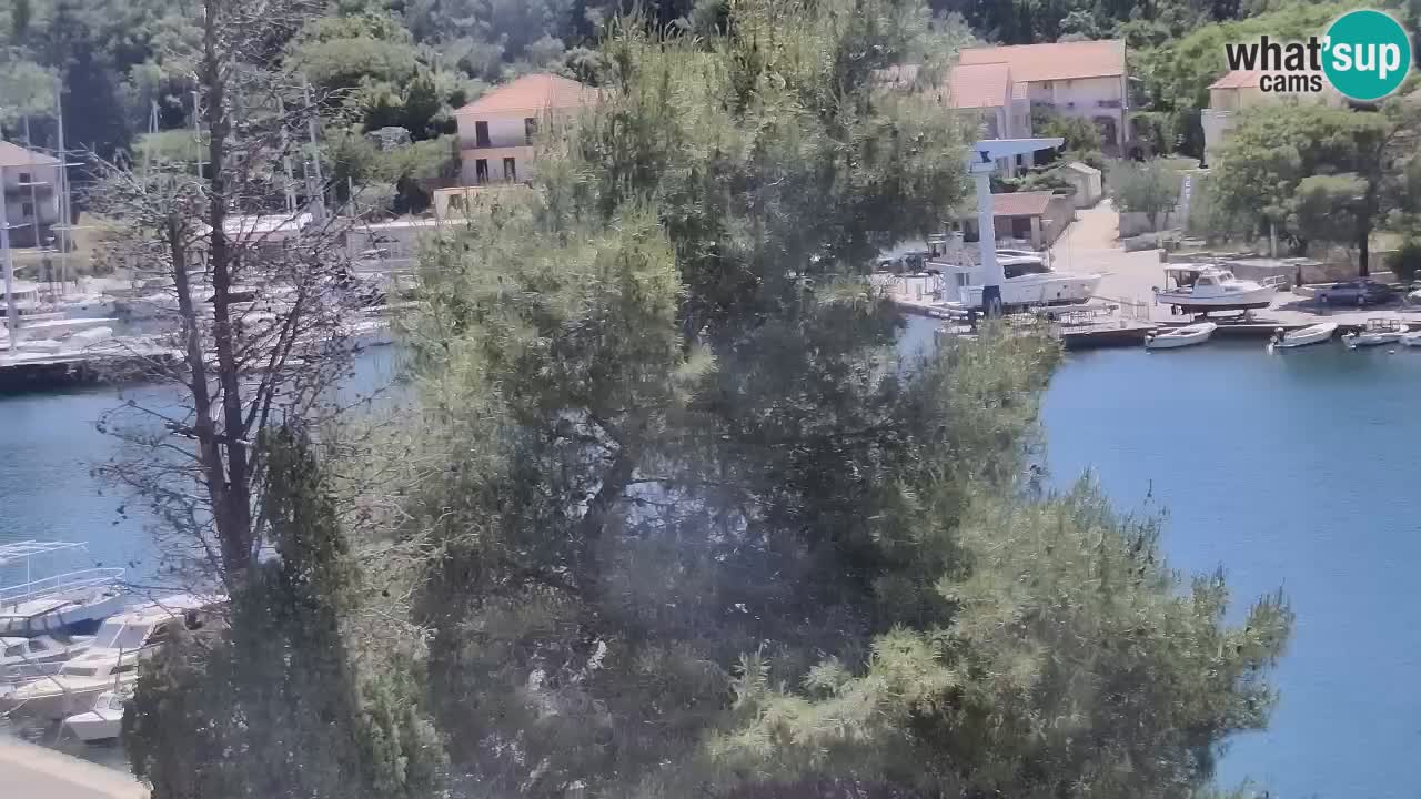 Kamera Hvar Vrboska marina | | Dalmacija