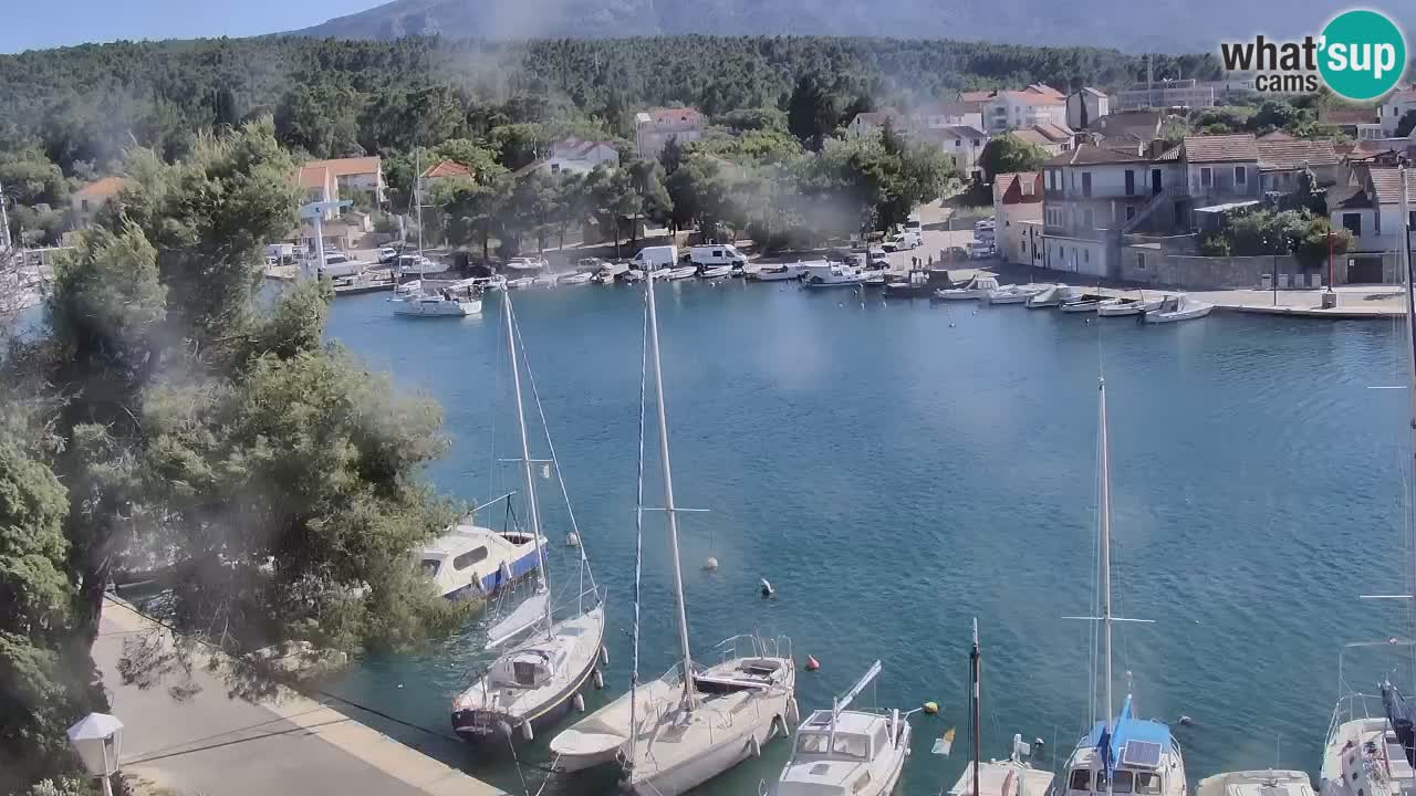 Webcam Hvar Vrboska marina | Dalmazia