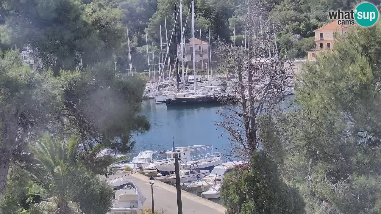 Camera Hvar Vrboska marina | isla de Hvar | Dalmacia