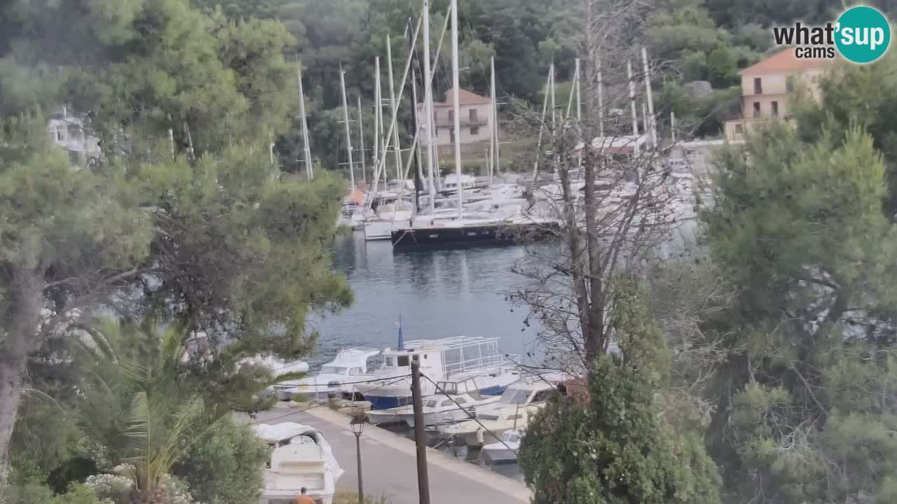 Livecam Vrboska marina | Hvar island | Dalmatia