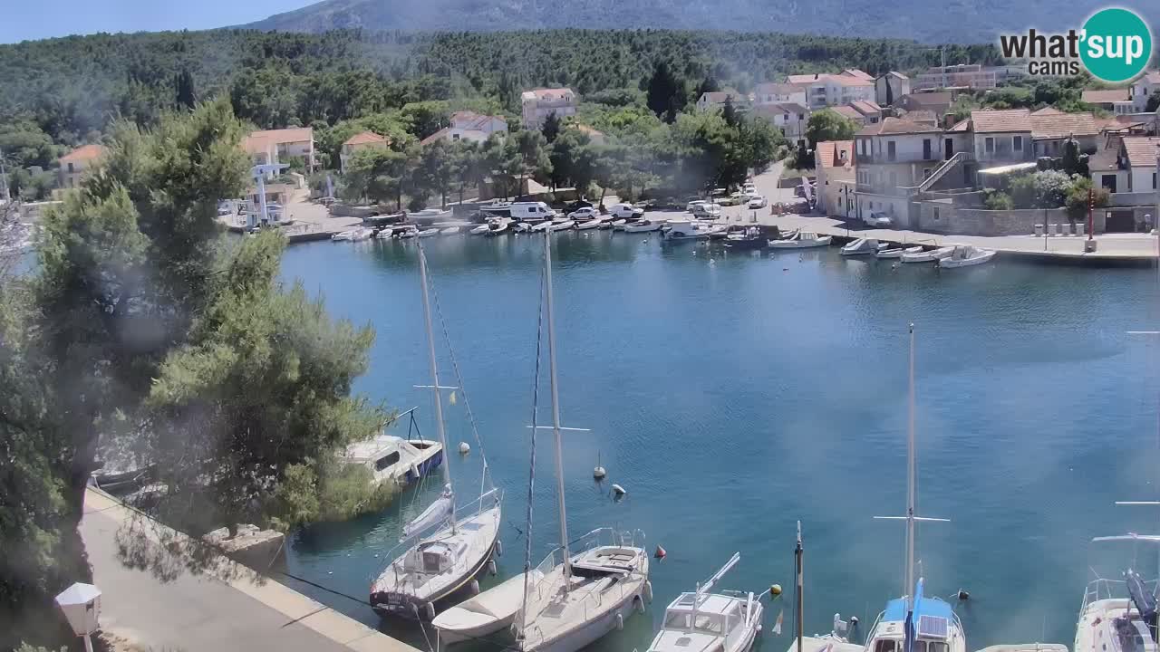 Camera Hvar Vrboska marina | isla de Hvar | Dalmacia
