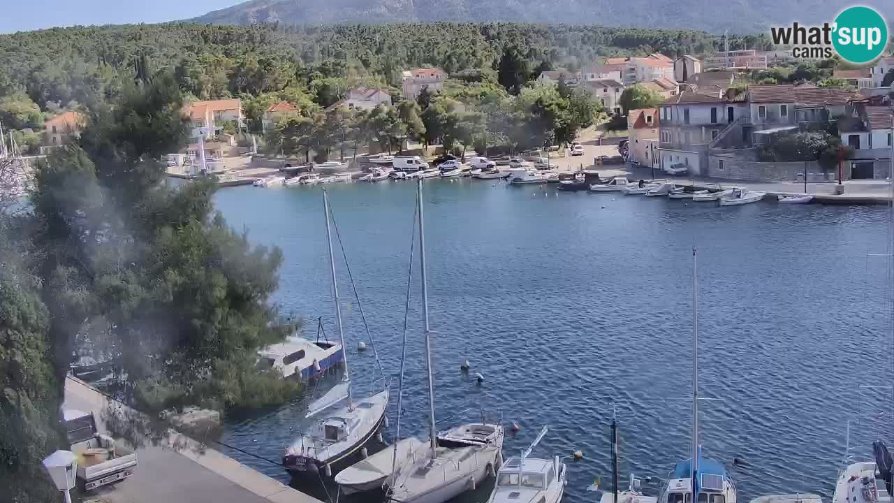 Livecam Hvar Vrboska marina | Île de Hvar | Dalmatia