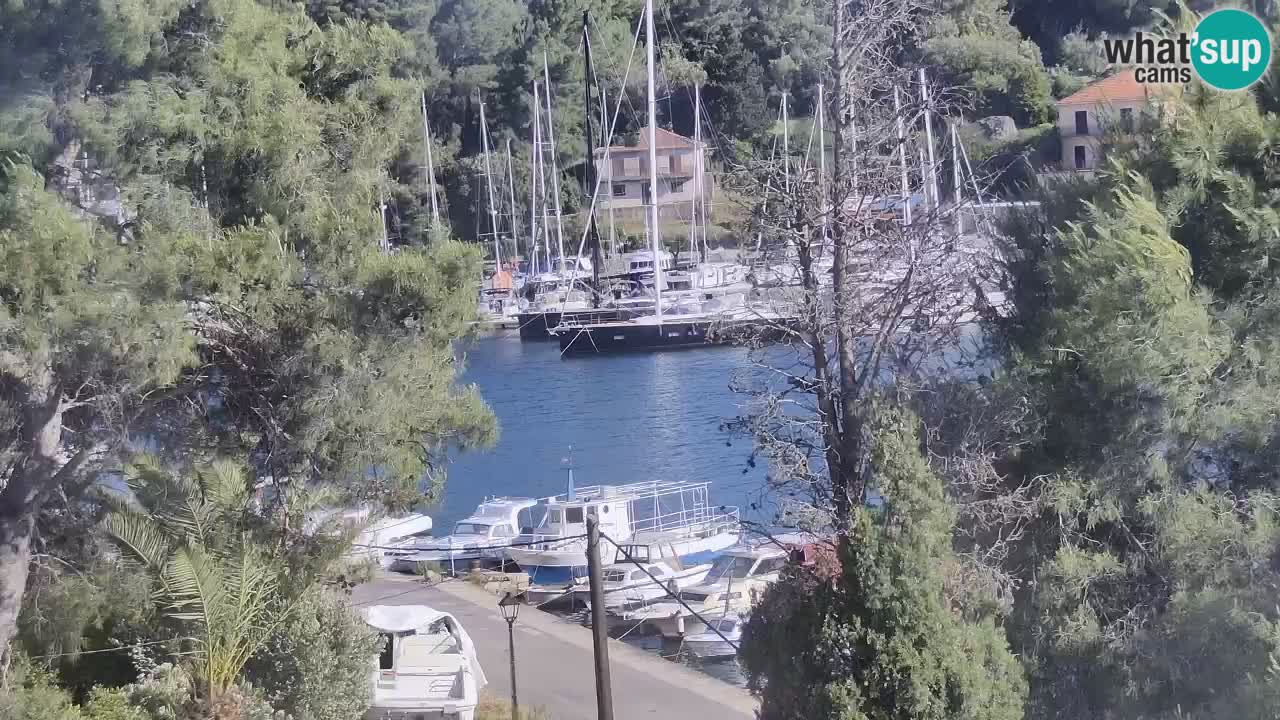 Kamera Hvar Vrboska marina | | Dalmacija