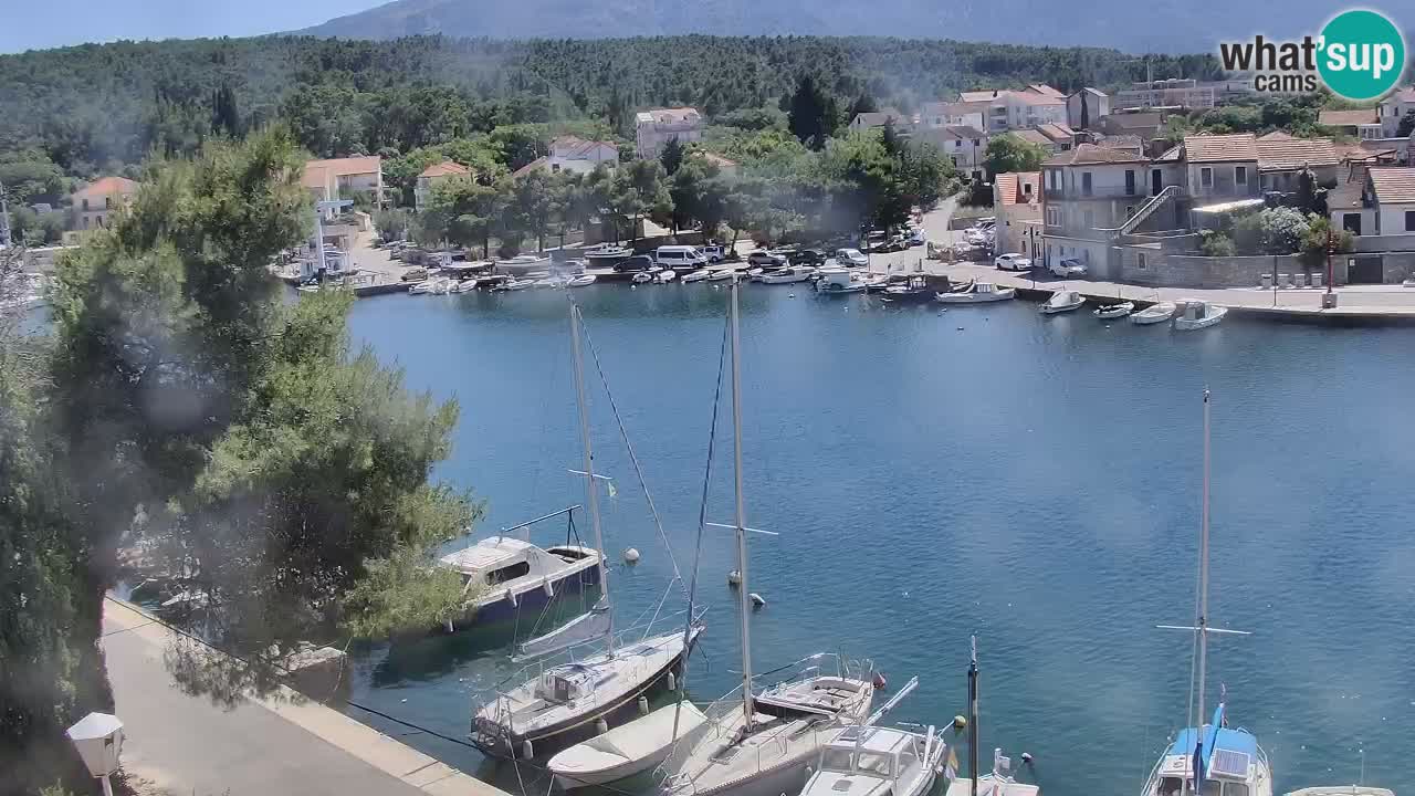 Camera Hvar Vrboska marina | isla de Hvar | Dalmacia