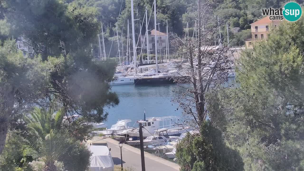 Web kamera Hvar Vrboska marina | otok Hvar | Dalmacija