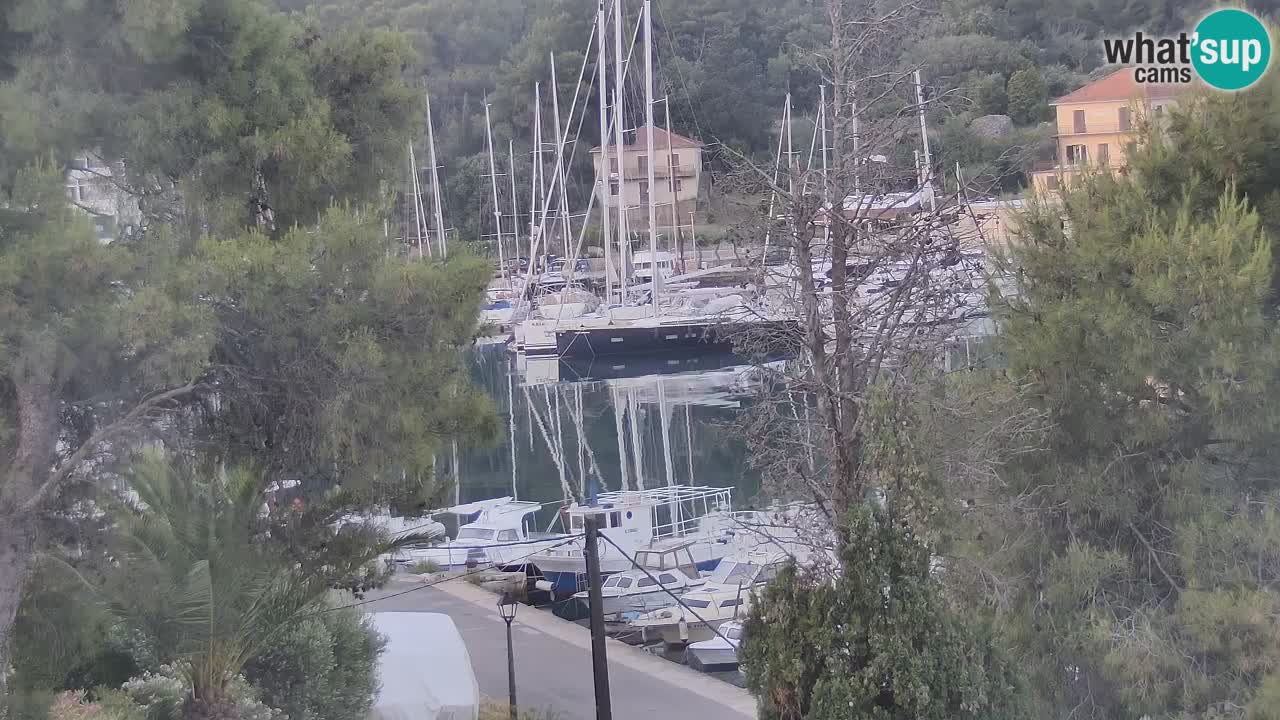 Livecam Hvar Vrboska marina | Île de Hvar | Dalmatia