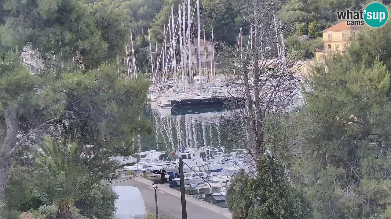 Kamera Hvar Vrboska marina | | Dalmacija