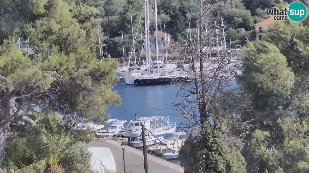 Webcam Vrboska marina | Hvar Insel | Dalmatien