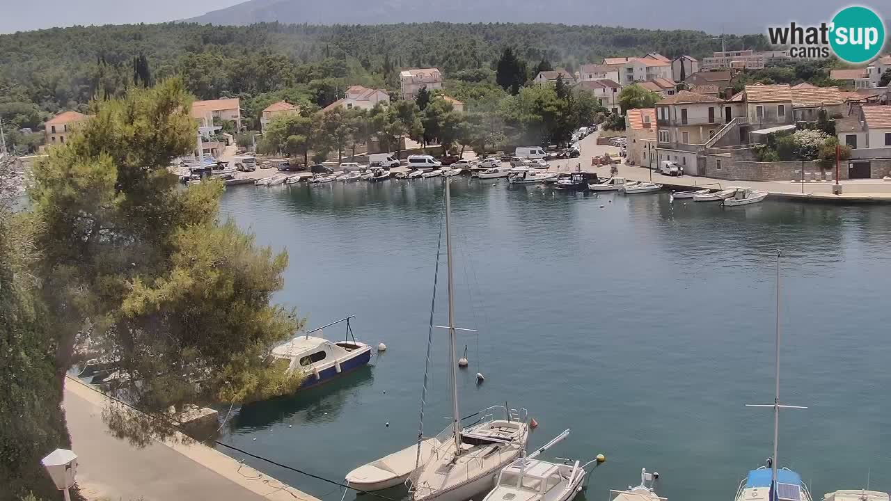 Kamera Hvar Vrboska marina | | Dalmacija
