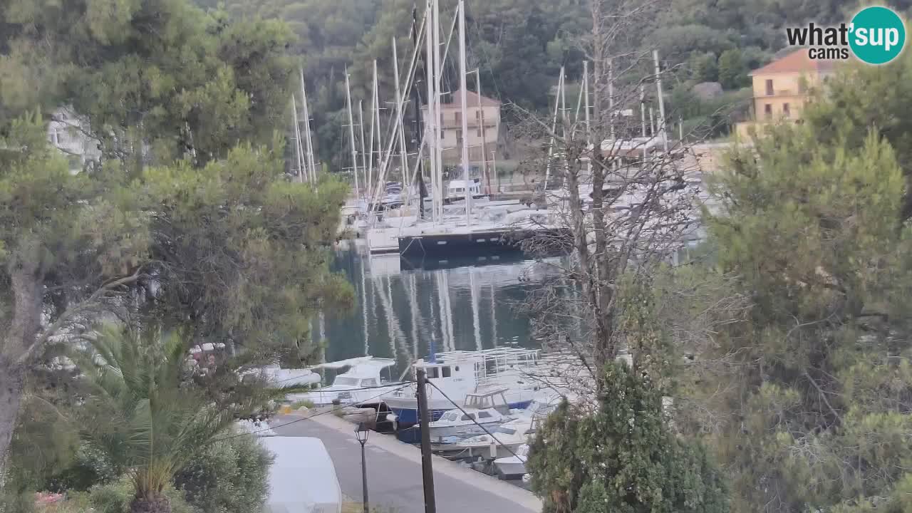 Webcam Hvar Vrboska marina | Dalmazia