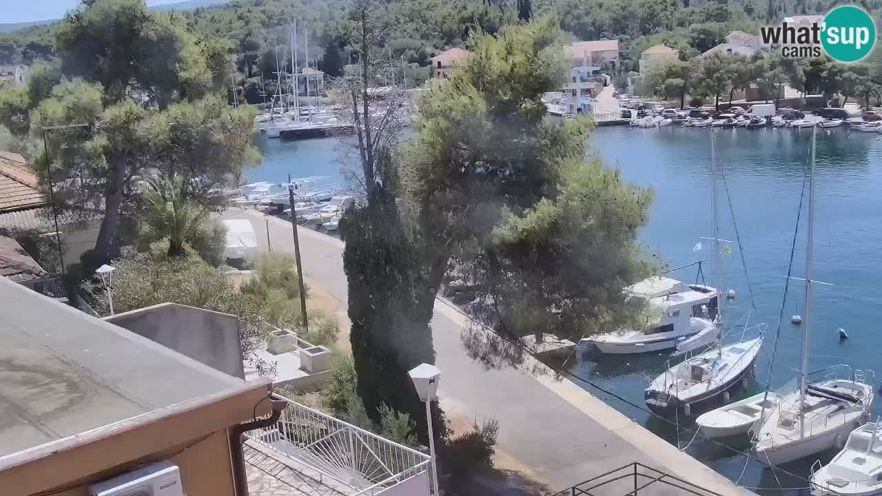 Livecam Hvar Vrboska marina | Île de Hvar | Dalmatia