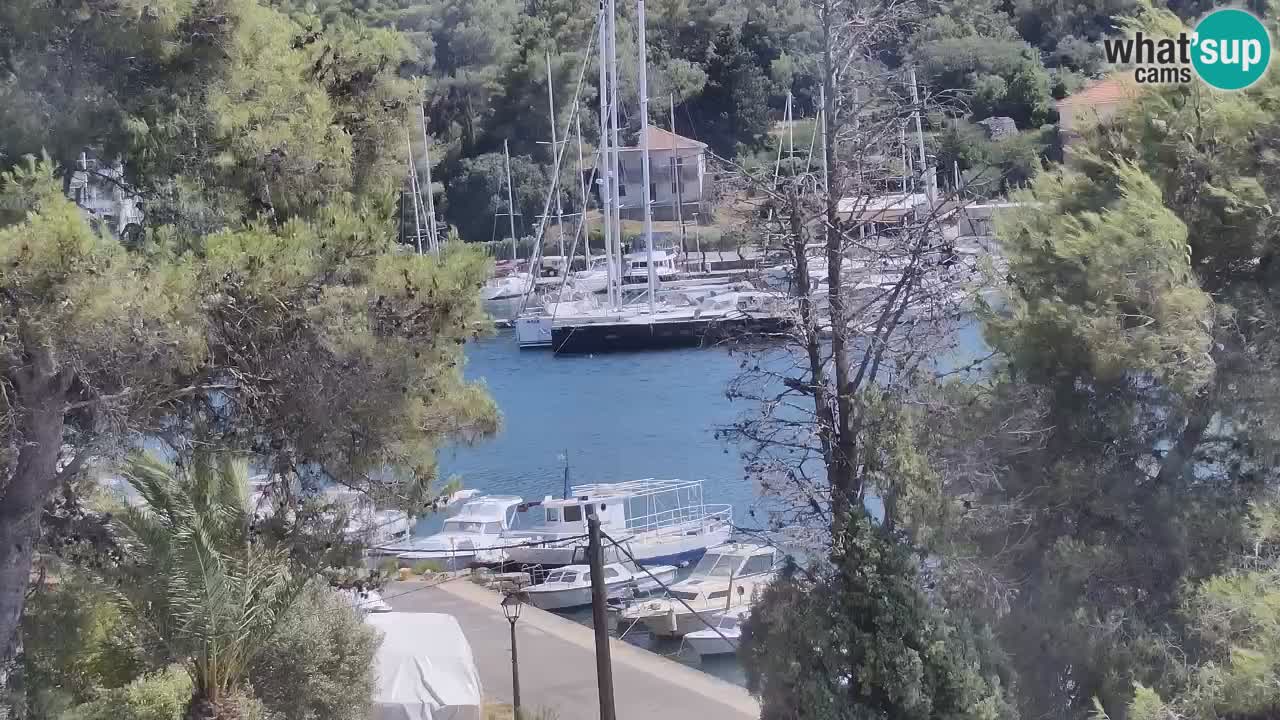 Webcam Vrboska marina | Hvar Insel | Dalmatien