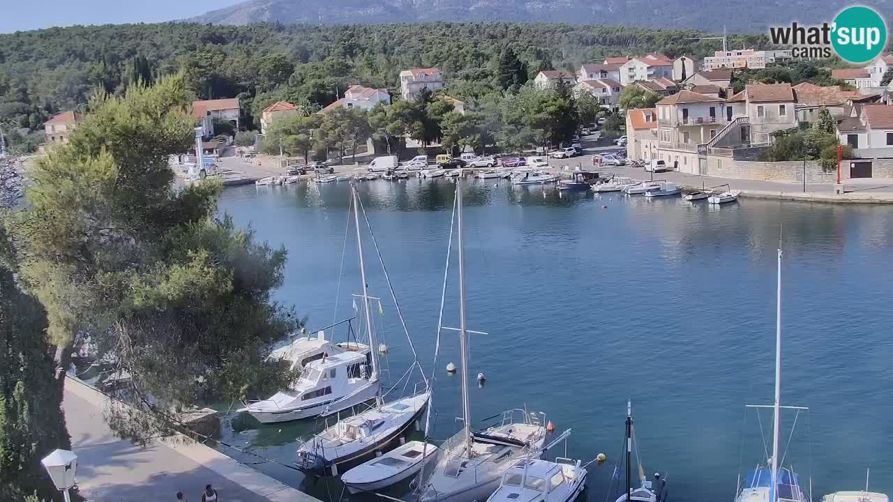 Webcam Hvar Vrboska marina | Dalmazia