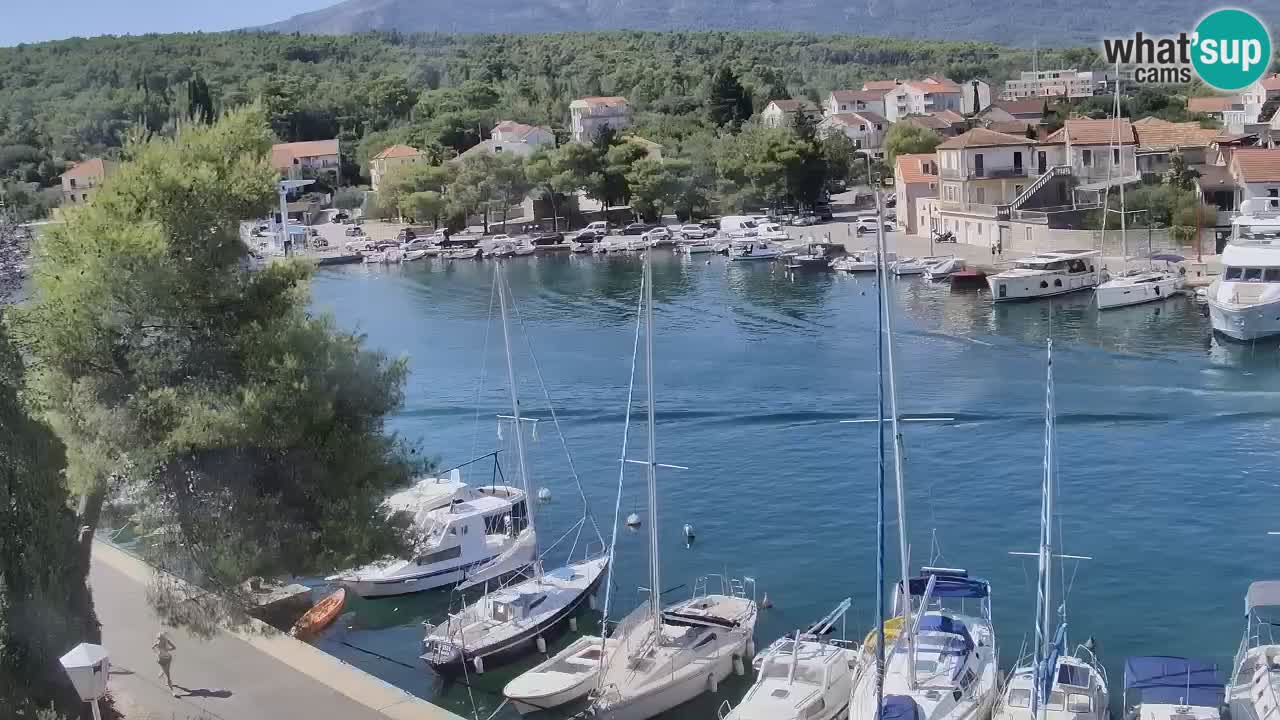 Camera Hvar Vrboska marina | isla de Hvar | Dalmacia