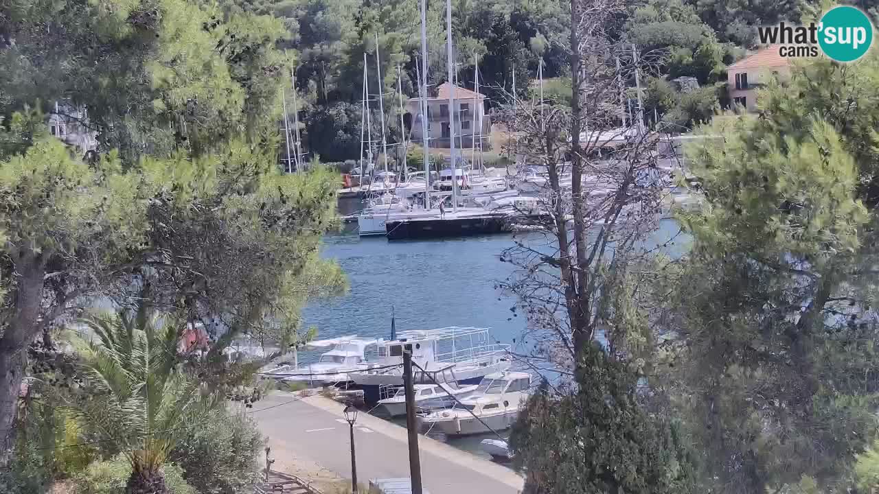 Webcam Vrboska marina | Hvar Insel | Dalmatien