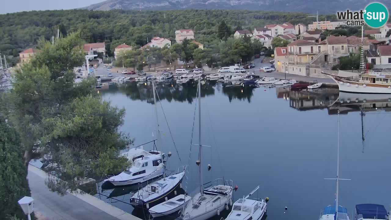 Livecam Hvar Vrboska marina | Île de Hvar | Dalmatia