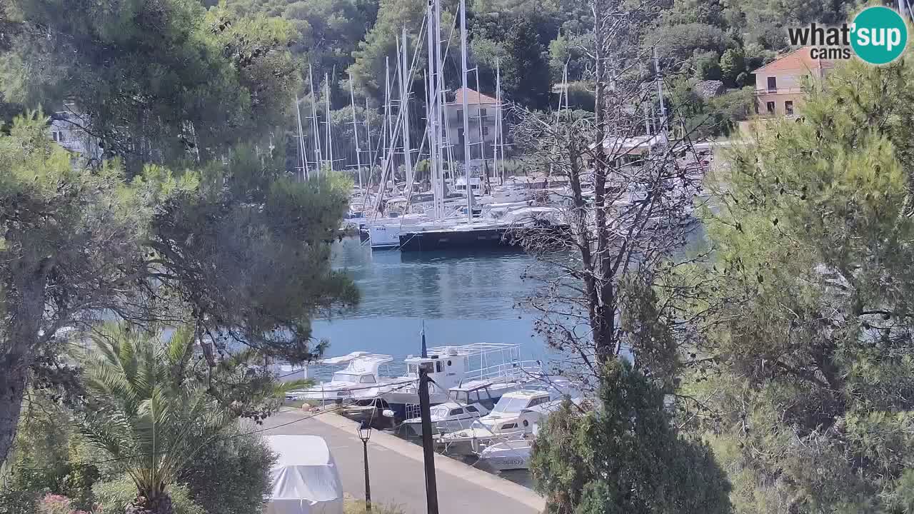 Camera Hvar Vrboska marina | isla de Hvar | Dalmacia