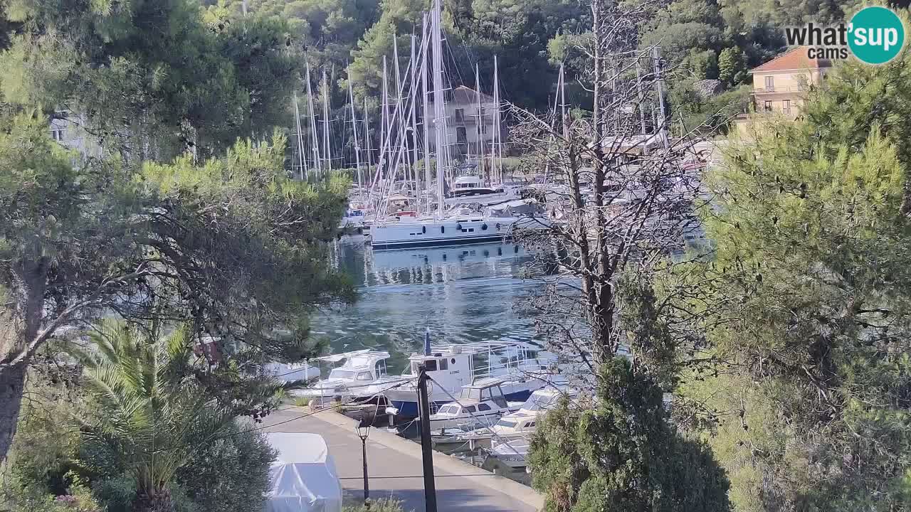 Kamera Hvar Vrboska marina | | Dalmacija